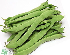 三月份可以種豆角嗎？豆角幾月份種？