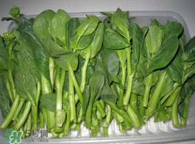 青菜苔可以吃嗎？青菜苔怎么做好吃？