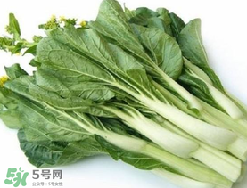 青菜苔可以吃嗎？青菜苔怎么做好吃？