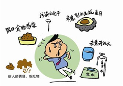 諾如病毒感染要隔離嗎？諾如病毒會(huì)傳染嗎？
