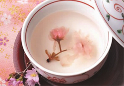 桃花酒孕婦可以喝嗎？懷孕了能喝桃花酒嗎？