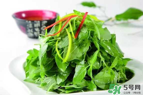 薺菜不能和什么一起吃？薺菜和什么相克？