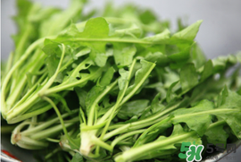 薺菜不能和什么一起吃？薺菜和什么相克？