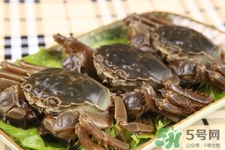 一年四季都能吃螃蟹嗎？一年四季都有吃螃蟹嗎？