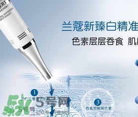 蘭蔻精華乳多少錢？蘭蔻臻白精華乳專柜價格