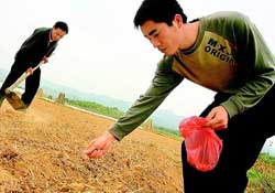 三月份可以種花生嗎？花生幾月份播種比較好？