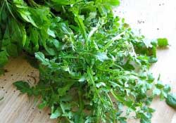 薺菜不能和什么一起吃？薺菜和什么相克？