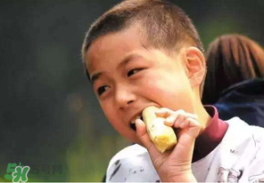春天能吃甘蔗嗎？春天吃甘蔗有什么好處？