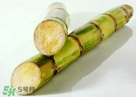 春天能吃甘蔗嗎？春天吃甘蔗有什么好處？