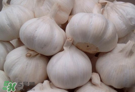 大蒜爛了一點還能吃嗎？大蒜爛根是怎么回事？