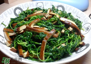 薺菜吃多了會(huì)中毒嗎？吃薺菜中毒怎么辦？