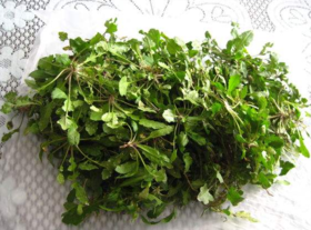 野生薺菜幾月份有？野生薺菜什么時(shí)候有？
