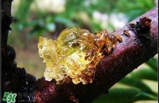 吃什么對(duì)皮膚好？怎么吃皮膚好？