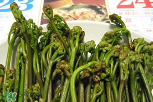 蕨菜為什么苦？蕨菜苦是怎么回事？