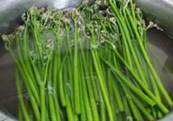 蕨菜怎么洗？蕨菜怎么清洗才干凈？