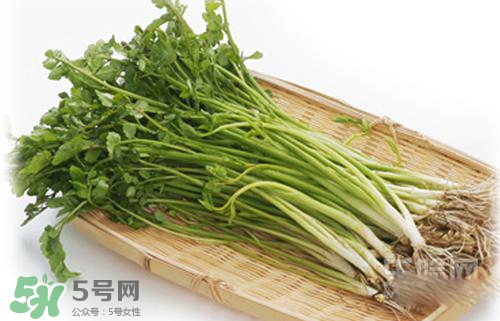 吃野芹菜會(huì)中毒嗎？吃野芹菜中毒了怎么辦？