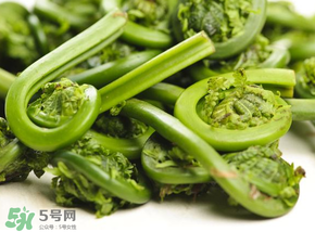 蕨菜怎么洗？蕨菜怎么清洗才干凈？