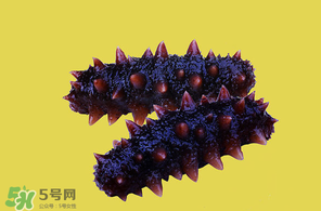 春天能吃海參嗎？春天吃海參效果好嗎？