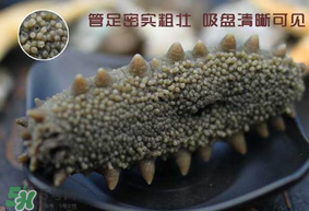 春天能吃海參嗎？春天吃海參效果好嗎？