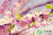 春天容易得水痘嗎？春天是水痘的高發(fā)季節(jié)嗎？