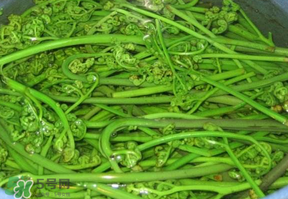 蕨菜怎么洗？蕨菜怎么清洗才干凈？