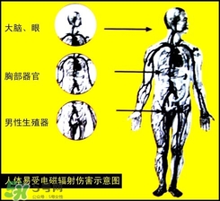 防輻射服什么時候開始穿？防輻射服真的有用嗎？