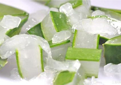 出水痘能用蘆薈膠嗎？水痘破了能擦蘆薈膠嗎？