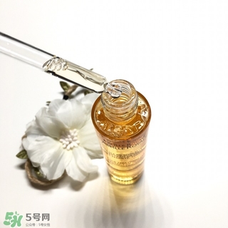 嬌蘭黃金蜜原蜜怎么用？嬌蘭黃金蜜原蜜使用方法
