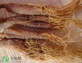 春天能吃紅參嗎？春天可以吃紅參嗎？