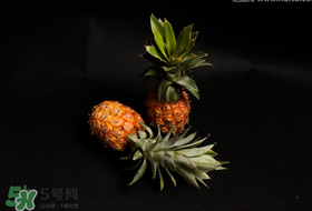 春天可以吃菠蘿嗎？春天吃菠蘿有什么好處？