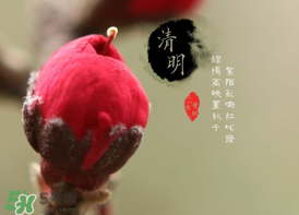清明節(jié)為什么要吃清明果？為什么清明節(jié)要吃清明果？