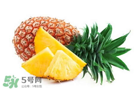 3月份有菠蘿吃嗎？三月份菠蘿可以吃嗎？