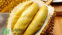 什么人不能吃榴蓮？榴蓮不適合什么人群吃？