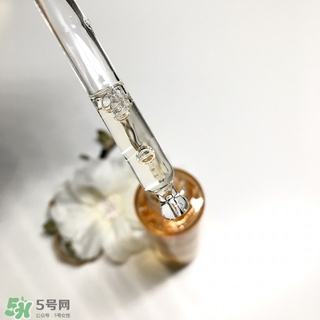 嬌蘭黃金蜜原蜜怎么用？嬌蘭黃金蜜原蜜使用方法