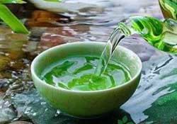 清明茶什么時候采？采清明茶什么時候結(jié)束？