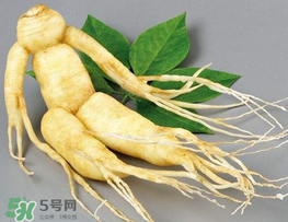 春天能吃高麗參嗎？春天可以喝高麗參湯嗎？