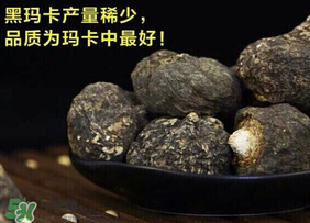 春天能吃瑪卡嗎？女人春天能吃瑪卡嗎？