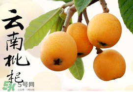 枇杷能放冰箱嗎？枇杷可以放冰箱保存嗎？