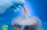 凍卵是什么？?jī)雎炎有枰嗌馘X？