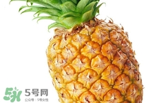 吃菠蘿太多會胃痛嗎？為什么吃菠蘿會胃痛？