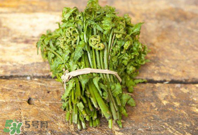 糖尿病能吃蕨菜嗎？糖尿病可以吃蕨菜嗎？