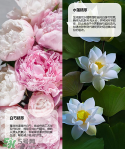 羽西丁一晨限定護(hù)膚品多少錢？羽西丁一晨限定價格