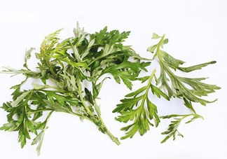 艾草可以治痛經(jīng)嗎？艾草能治月經(jīng)不調(diào)嗎？