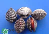 泥蚶怎么讀？泥蚶做法