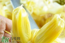 菠蘿蜜怎么吃？菠蘿蜜好吃嗎？