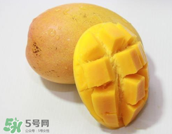 芒果什么季節(jié)成熟？芒果什么時(shí)候上市？