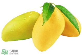 芒果哪里的最好吃？芒果哪種品種好吃？