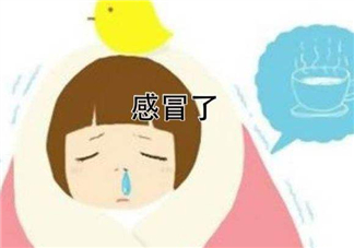為什么總是感冒？總是感冒怎么回事？