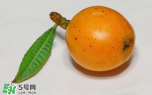 枇杷可以和蔥一起煮嗎？蔥和枇杷葉一起煮可以喝嗎？