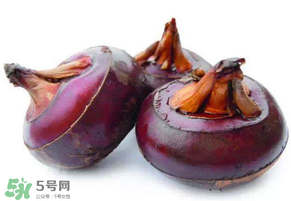 枇杷可以和荸薺一起煮水嗎？枇杷和荸薺能一起吃嗎？
